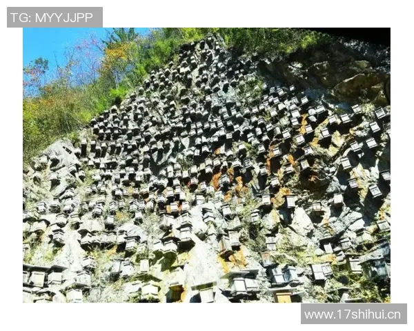 湖刺球迷手机桌面惊现小卡与哈登捧杯画面引发热议 湖刺球迷手机桌面惊现小卡与哈登捧杯画面引发热议